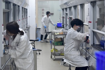 精英內地生不再視來港深造為首選,轉向報讀外國學府。