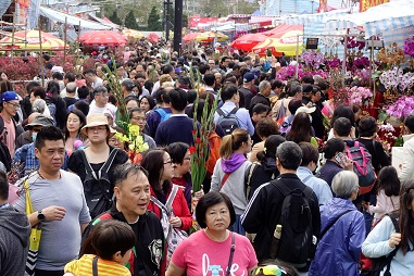 農曆新年氣氛濃厚的年宵市場，因應疫情一度取消年宵花市，政府近日恢復在全港十五個地點舉辦花市。