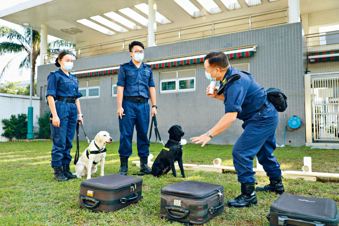 海關及消防處等料將跟隨警隊步伐延遲退休。