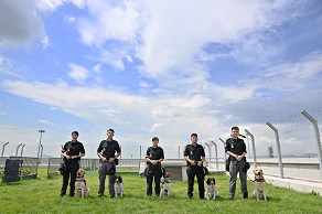 機場保安犬隻行動小組隊員每天帶領犬隻執行各種任務。