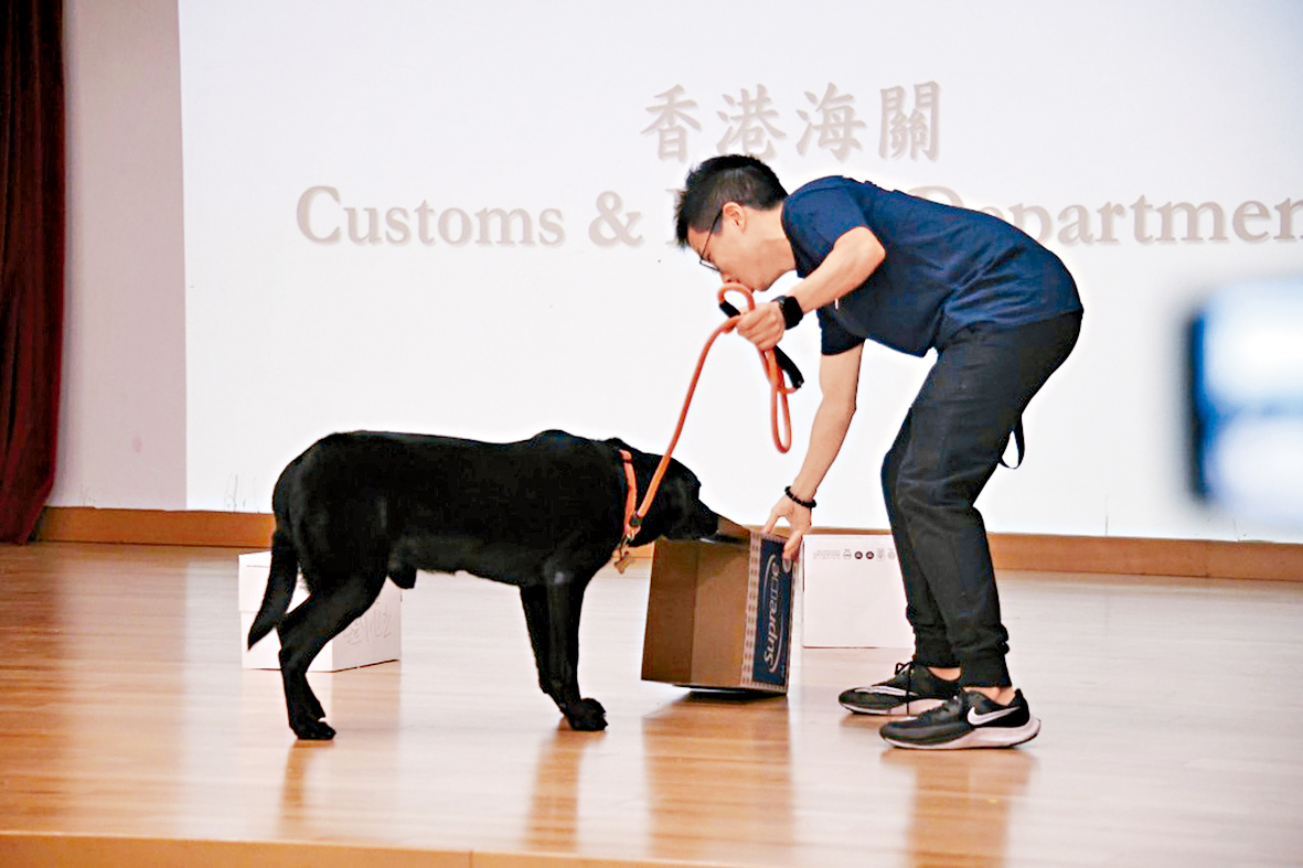 香港入境事務處及香港海關將於「職場Connect招聘增值展」擺設展位進行招聘活動,萬勿錯過。